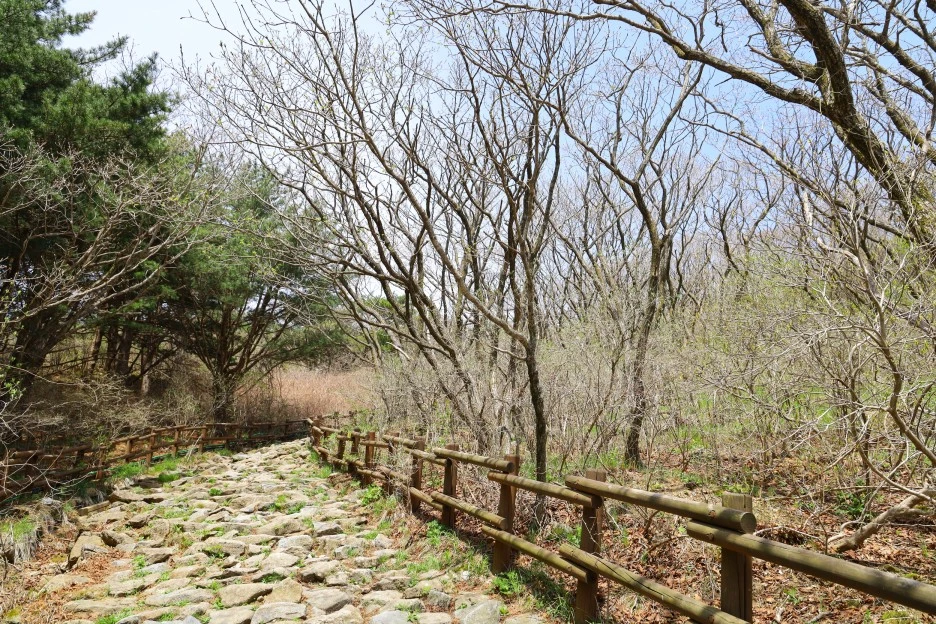 4%EC%9B%9428%EC%9D%BC_(26).JPG?type=w1