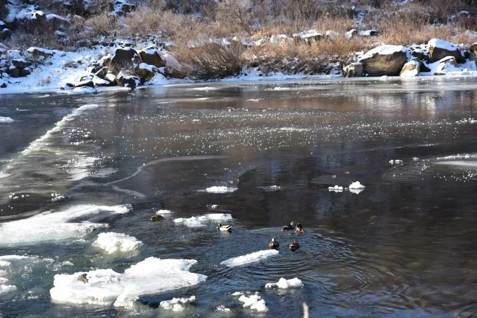 1%EC%9B%9412%EC%9D%BC_(31).JPG?type=w1