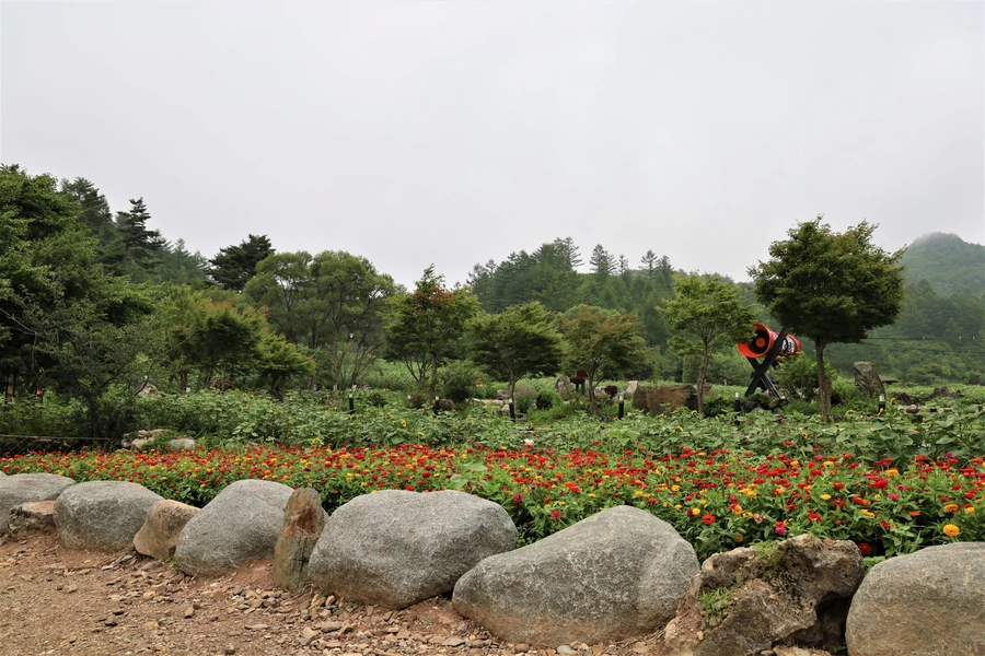 SE-35828a67-ac66-4453-a8c7-07b8879e1212.jpg?type=w1