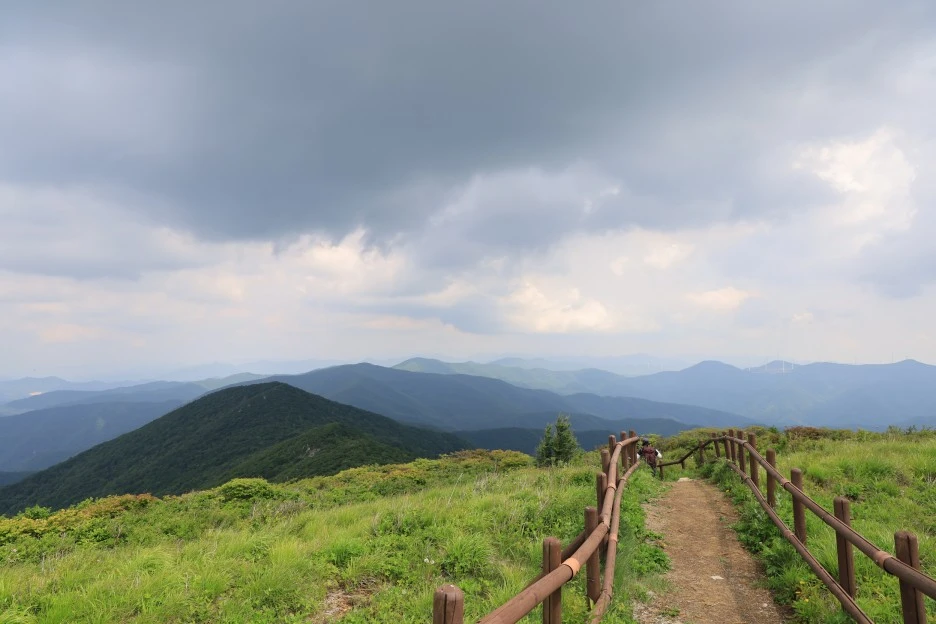 6%EC%9B%9414%EC%9D%BC_(167).JPG?type=w1