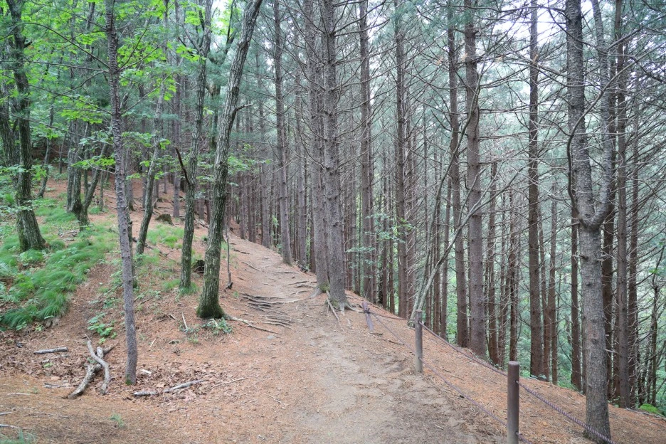 6%EC%9B%9428%EC%9D%BC_(99).JPG?type=w1