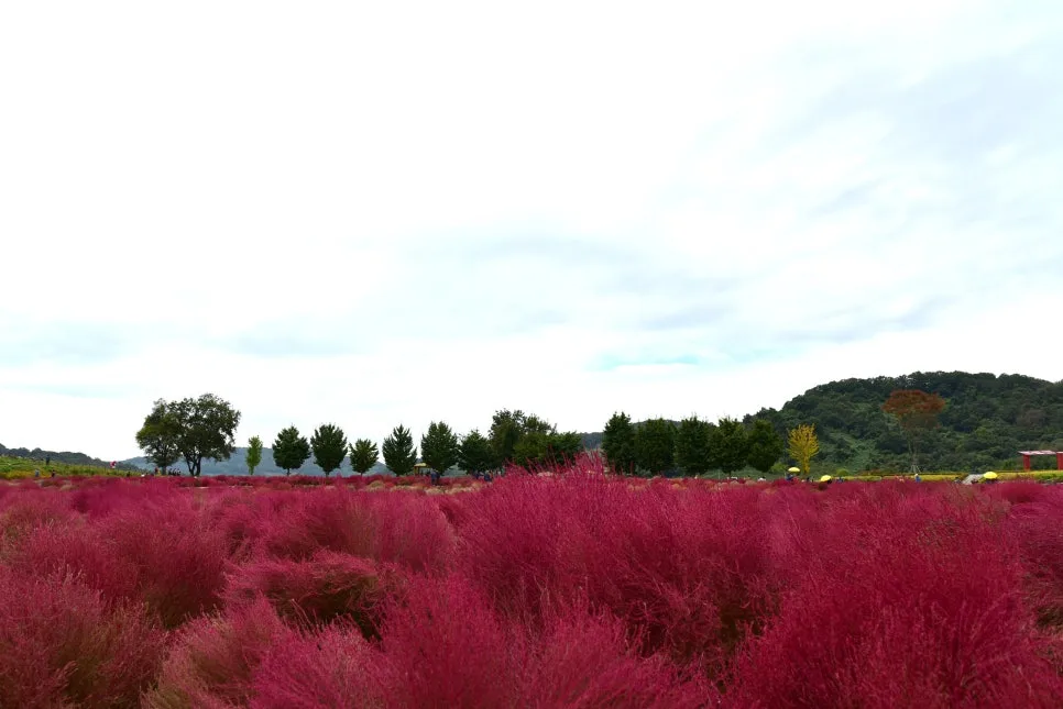 10%EC%9B%9414%EC%9D%BC_(90).JPG?type=w966