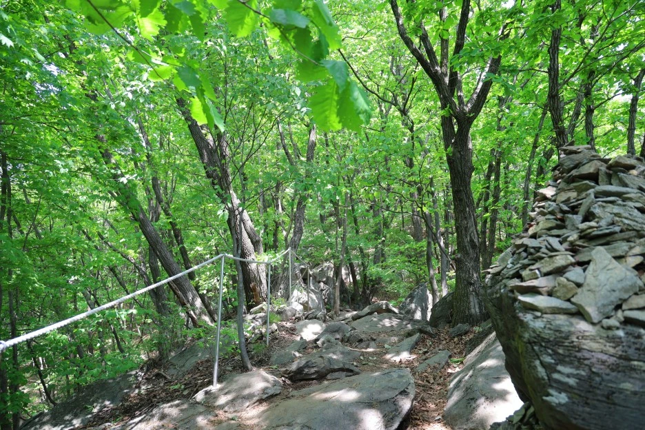 5%EC%9B%9410%EC%9D%BC_(157).JPG?type=w1