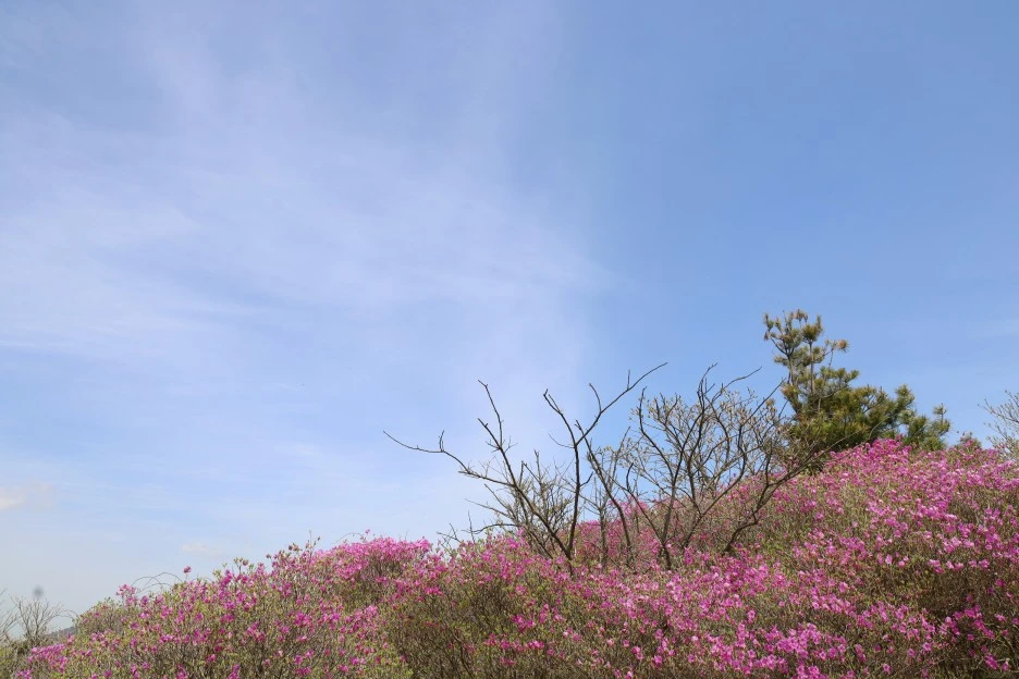 4%EC%9B%9428%EC%9D%BC_(53).JPG?type=w1