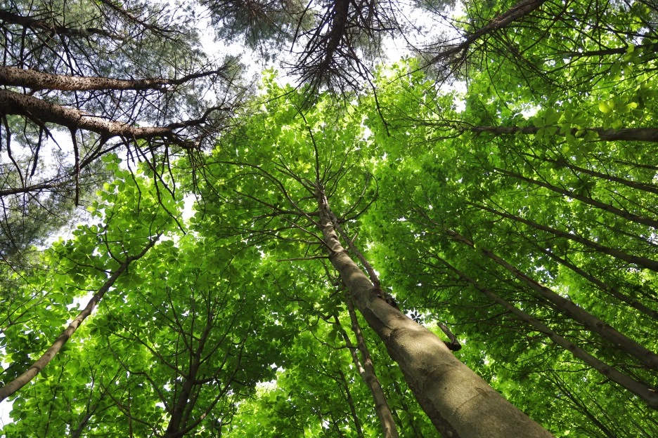 5%EC%9B%9410%EC%9D%BC_(176).JPG?type=w1