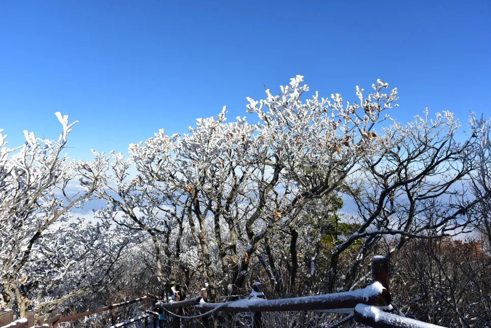 11%EC%9B%9426%EC%9D%BC_(89).JPG?type=w966