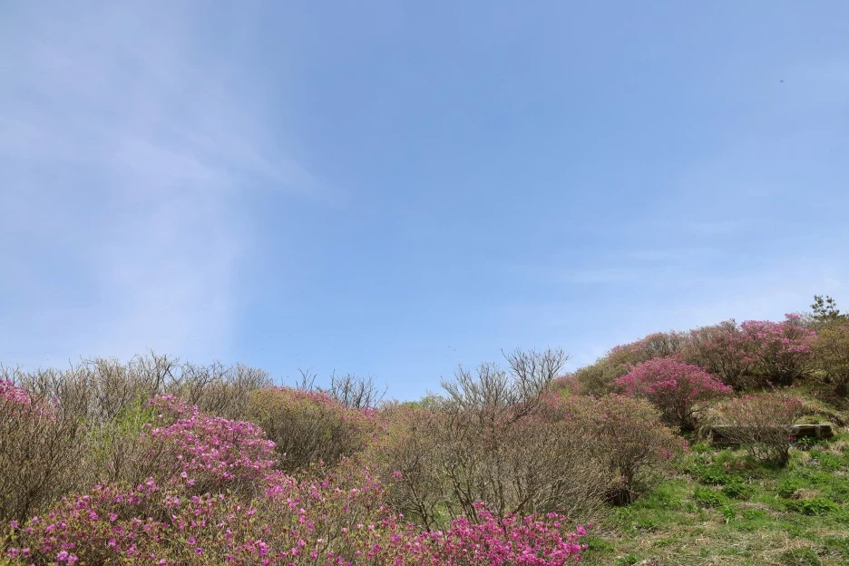 4%EC%9B%9428%EC%9D%BC_(46).JPG?type=w1