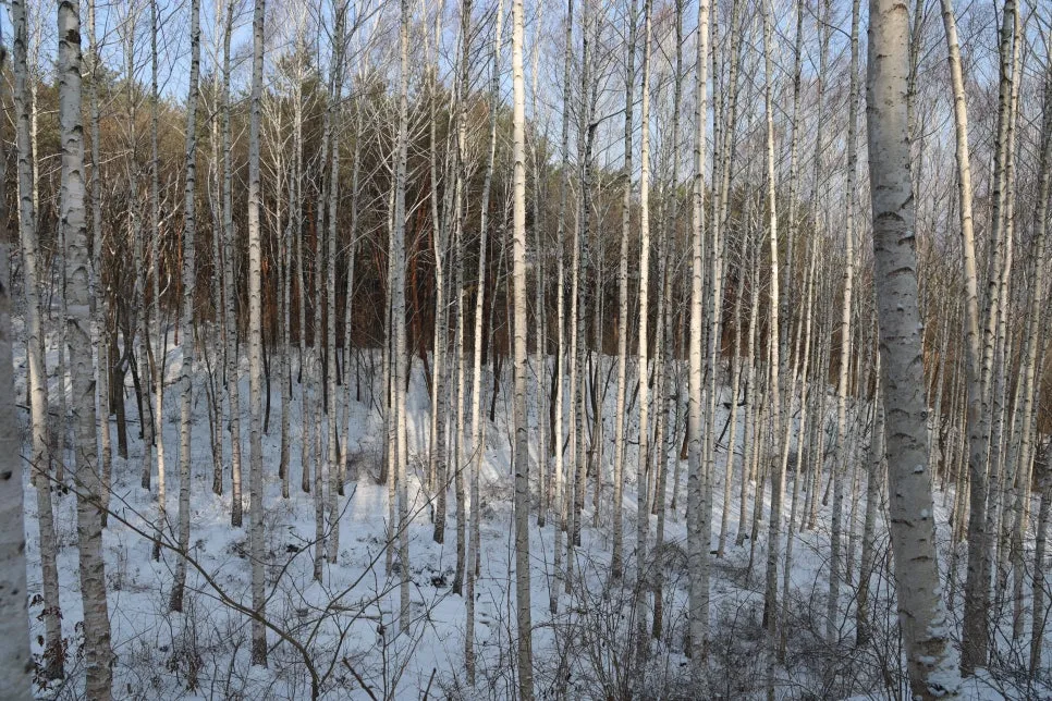 12%EC%9B%9426%EC%9D%BC_(27).JPG?type=w966