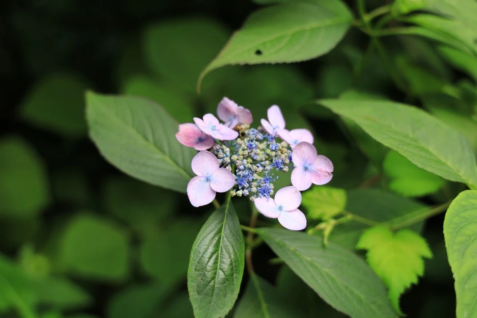 6%EC%9B%9428%EC%9D%BC_(415).JPG?type=w1