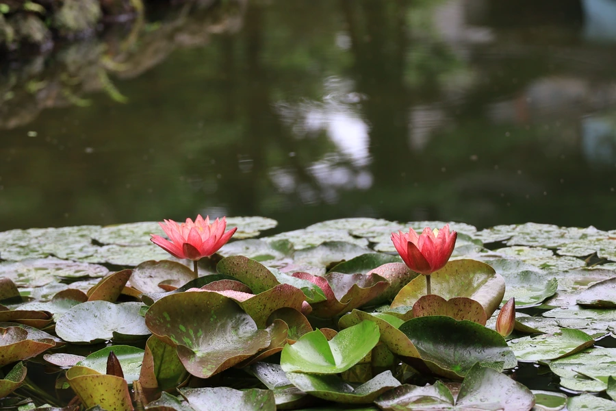 SE-04e46361-7557-4ea3-88f6-0c51ebd34bb7.jpg?type=w1