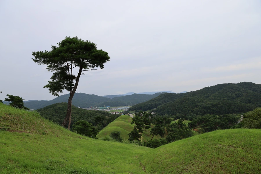 SE-facd6d4d-1964-4353-b5ae-db1827da8db6.jpg?type=w1