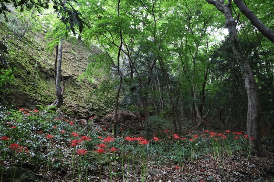 SE-5b6477d6-c958-4ddf-b036-1e6810bae486.jpg?type=w1