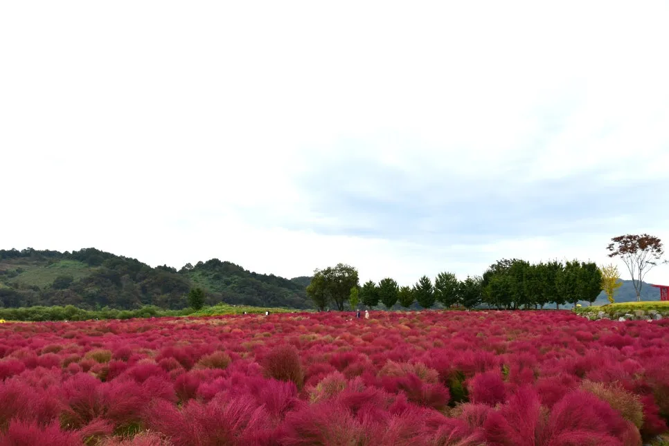 10%EC%9B%9414%EC%9D%BC_(12).JPG?type=w966