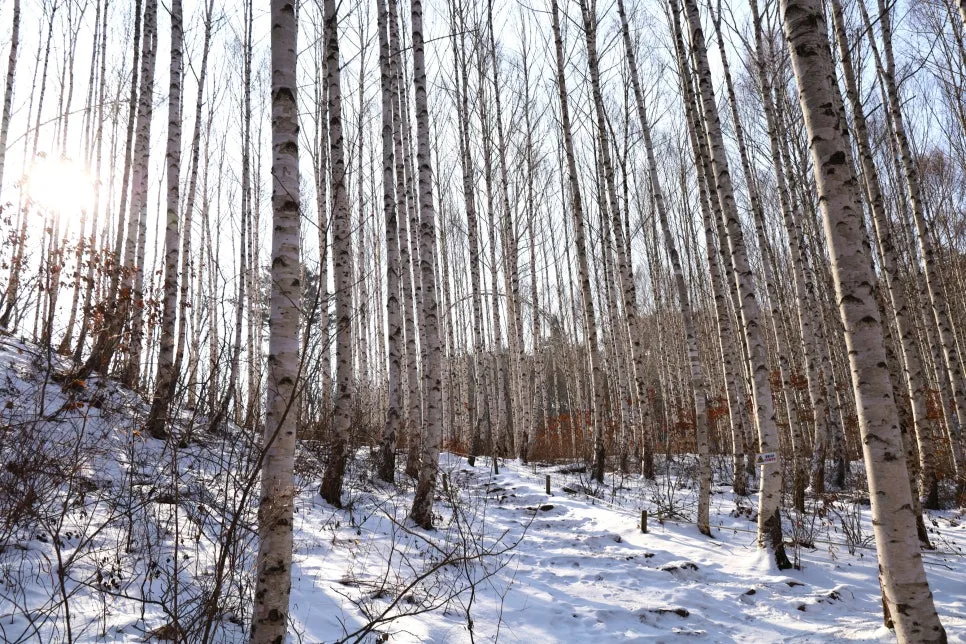 12%EC%9B%9426%EC%9D%BC_(73).JPG?type=w966