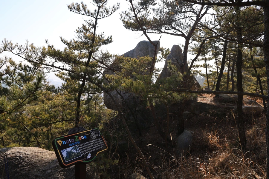 SE-16269003-4af3-4145-848f-45677455408a.jpg?type=w1