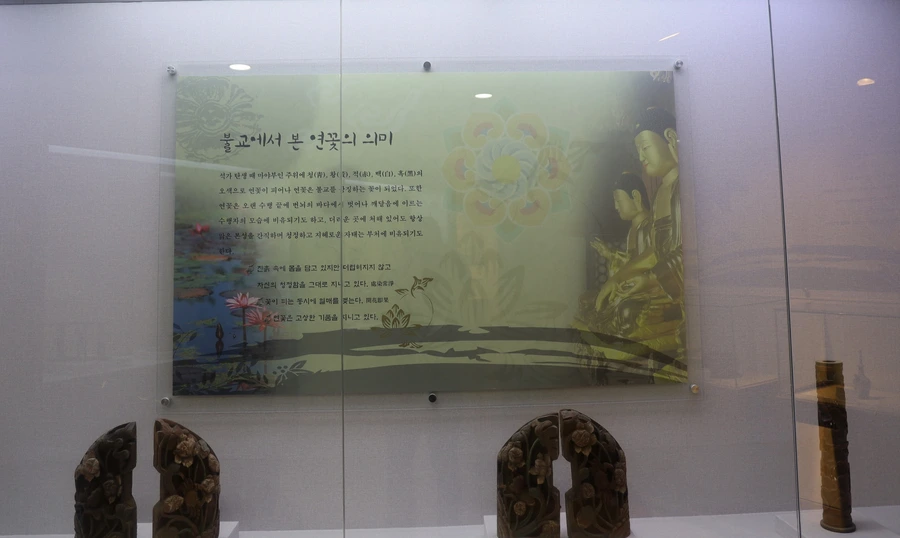 SE-1d7c1b1d-7f00-4200-8683-f14c4811e2d8.jpg?type=w1