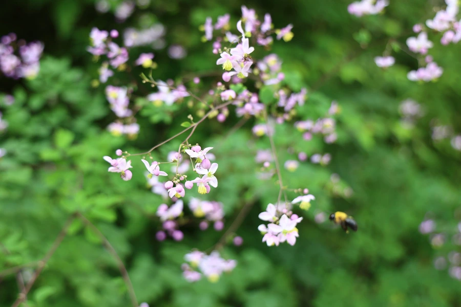 SE-3637b39d-3ba6-4fe5-a2af-cc4f298657a8.jpg?type=w1