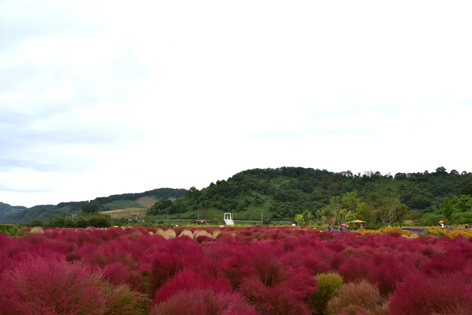 10%EC%9B%9414%EC%9D%BC_(35).JPG?type=w966