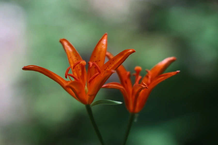 SE-1411fc55-aef9-44be-8c57-0bad2358dcd2.jpg?type=w1