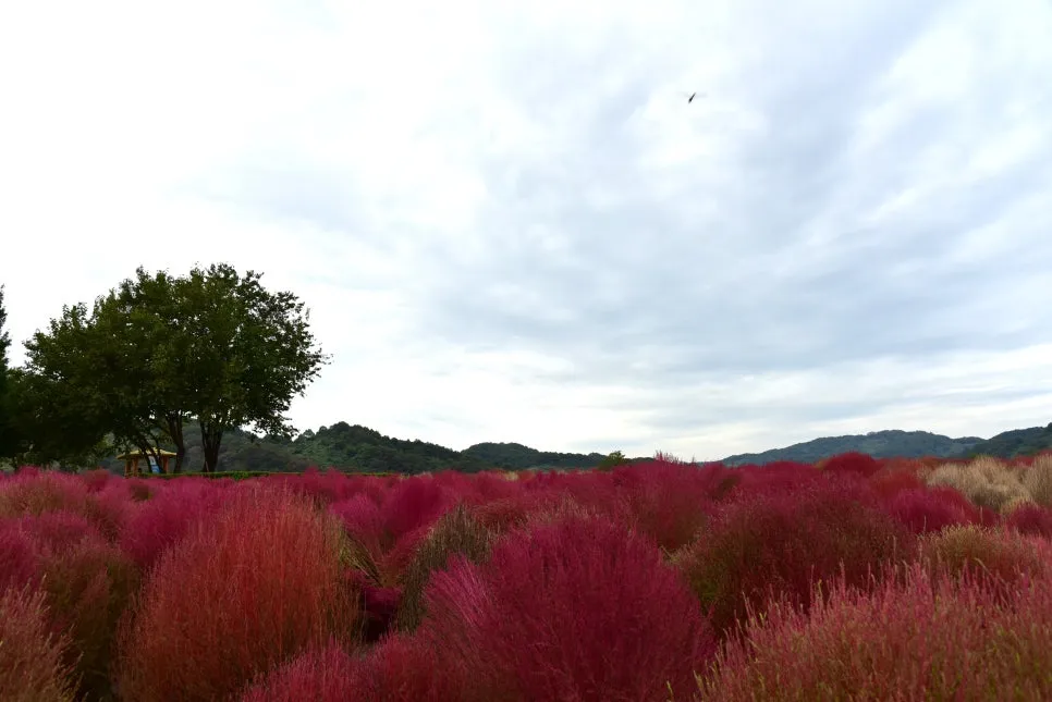 10%EC%9B%9414%EC%9D%BC_(39).JPG?type=w966