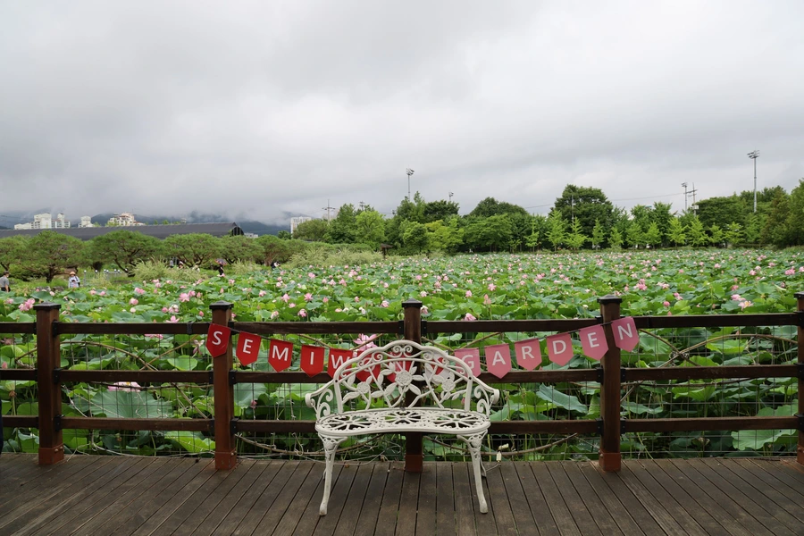 SE-a6de598a-2f77-4f63-a17f-966040ea0ed0.jpg?type=w1