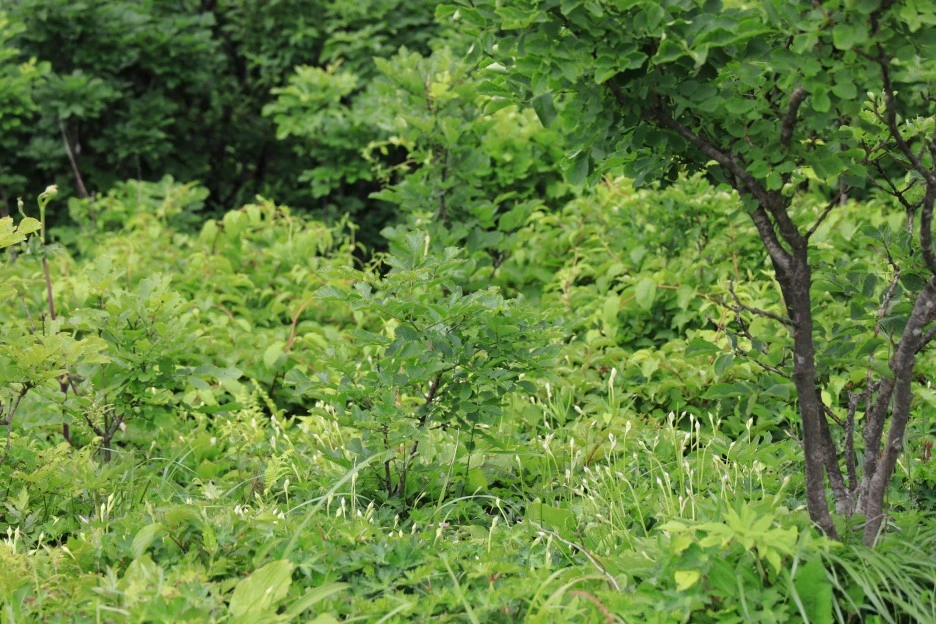 6%EC%9B%9428%EC%9D%BC_(167).JPG?type=w1