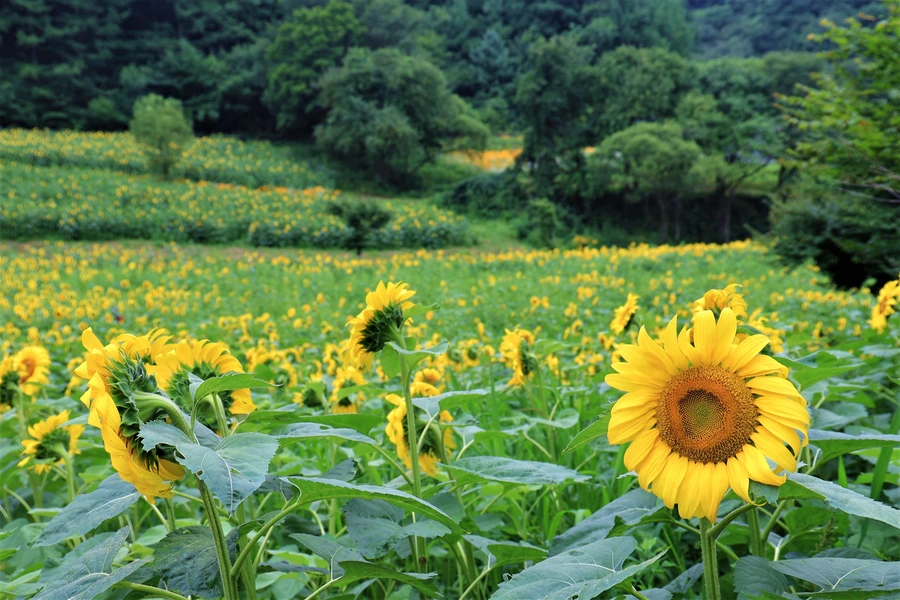 SE-089fb0e2-dc68-48e9-a5ba-9b5c55db70b8.jpg?type=w1