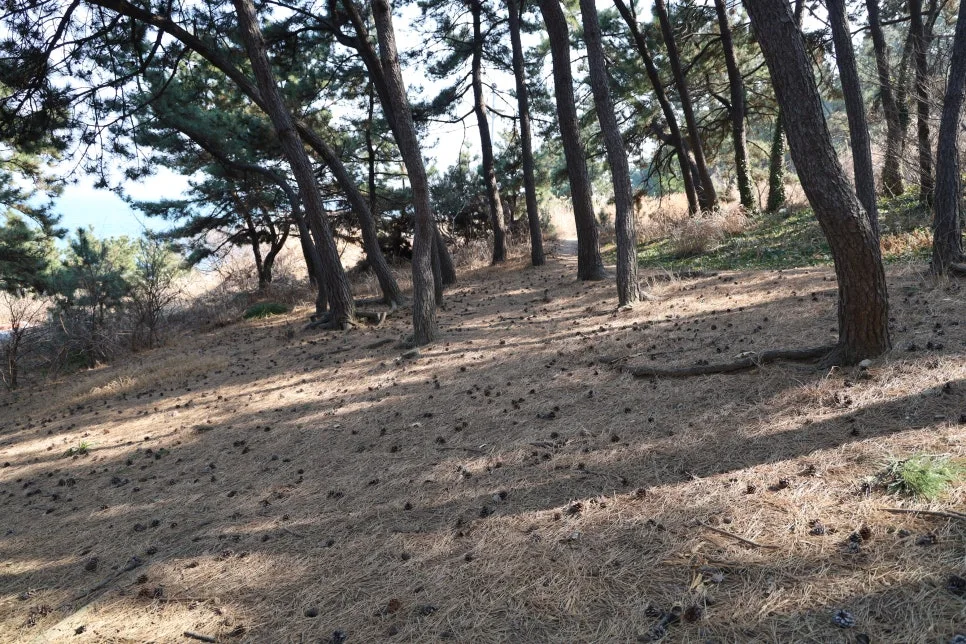 2%EC%9B%9426%EC%9D%BC_(86).JPG?type=w966