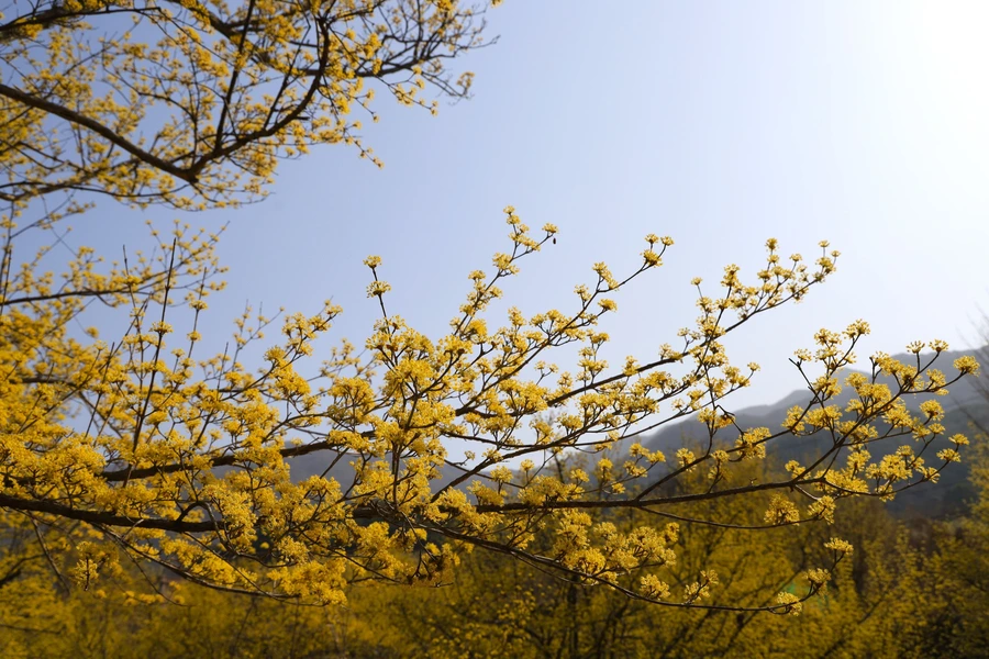 SE-03d5155e-49e7-42af-9a68-db7184f4a01a.jpg?type=w1