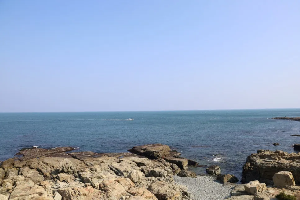 2%EC%9B%9426%EC%9D%BC_(90).JPG?type=w966