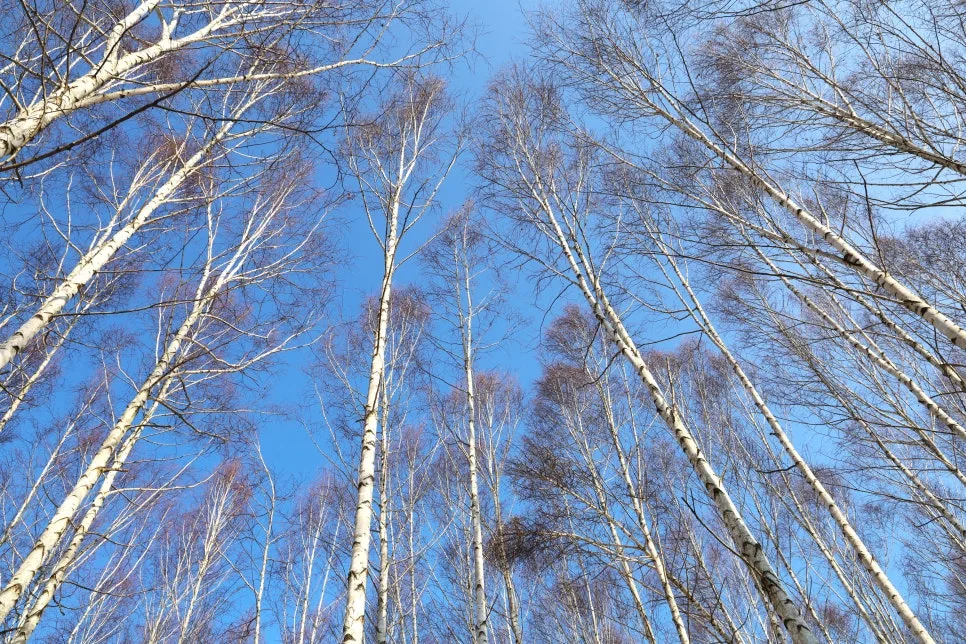 12%EC%9B%9426%EC%9D%BC_(59).JPG?type=w966