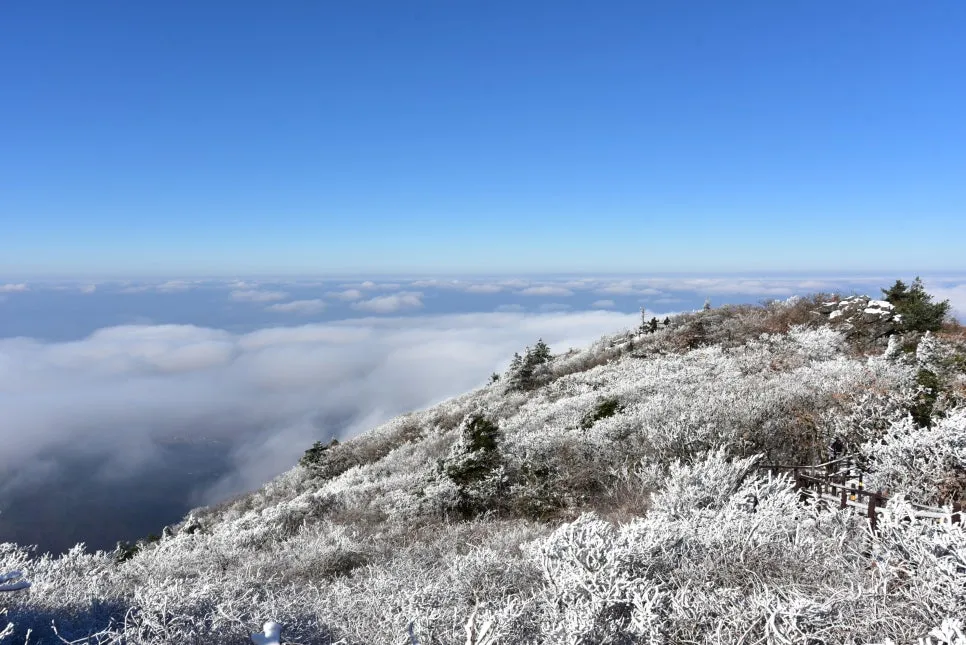 11%EC%9B%9426%EC%9D%BC_(116).JPG?type=w966