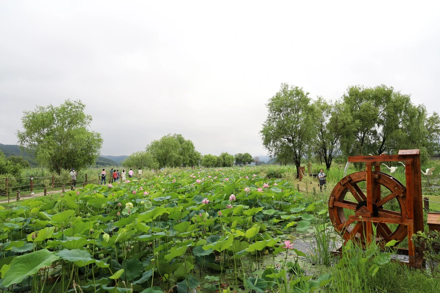 SE-c00986dd-8533-418d-8085-ff9edd0e90b5.jpg?type=w1