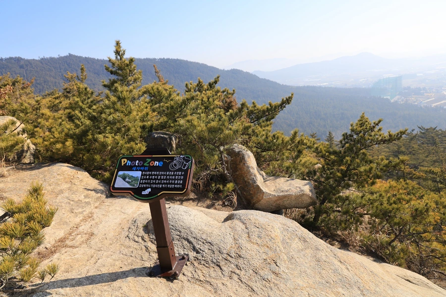 SE-8770526a-441c-4045-b432-aadb92306c0d.jpg?type=w1