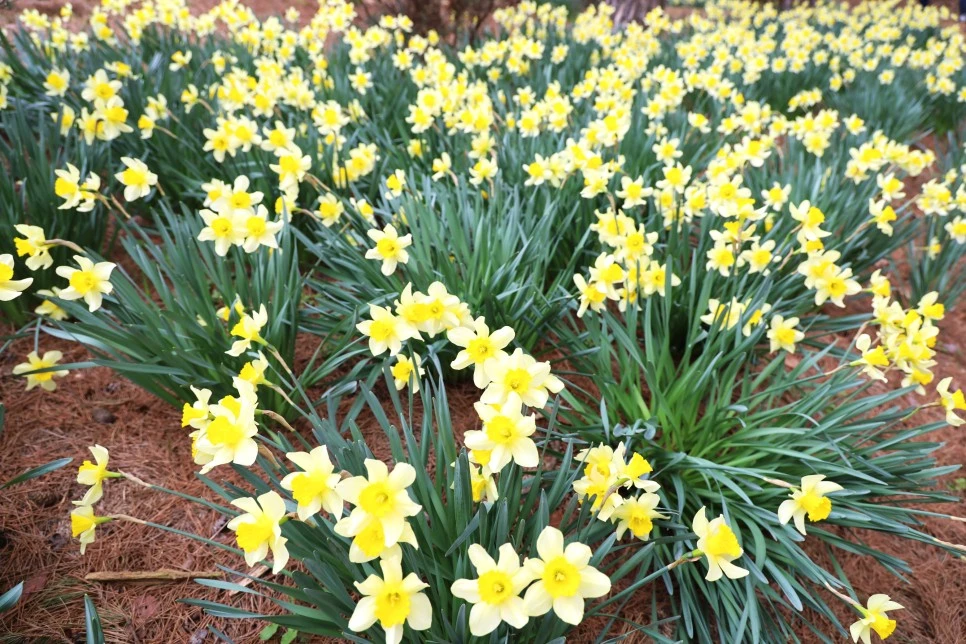 4%EC%9B%945%EC%9D%BC_(34).JPG?type=w966