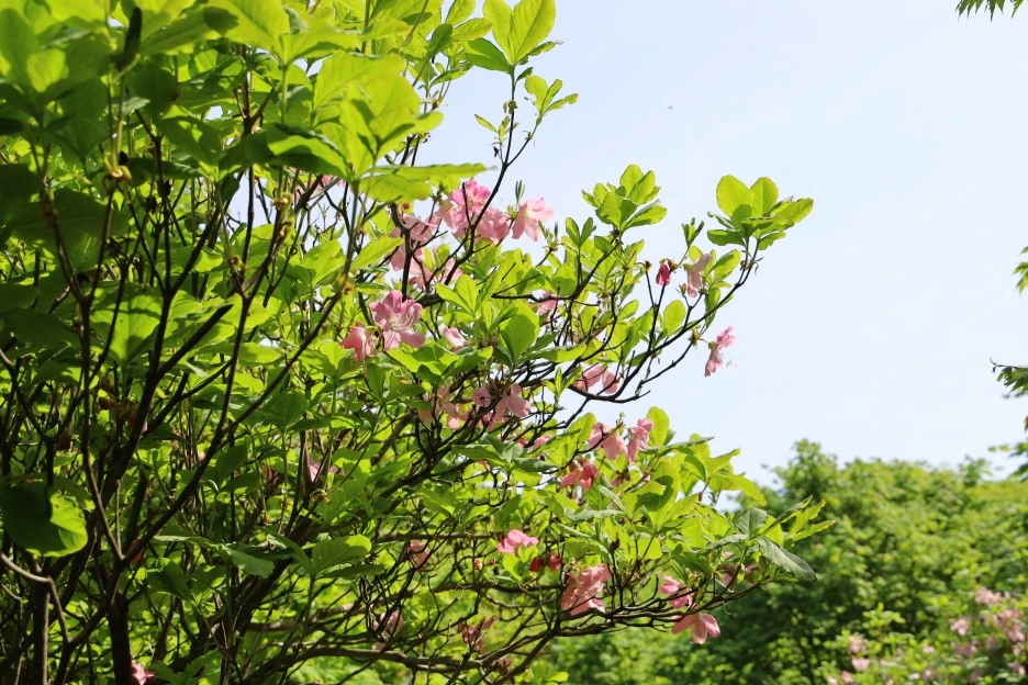 5%EC%9B%9410%EC%9D%BC_(36).JPG?type=w1