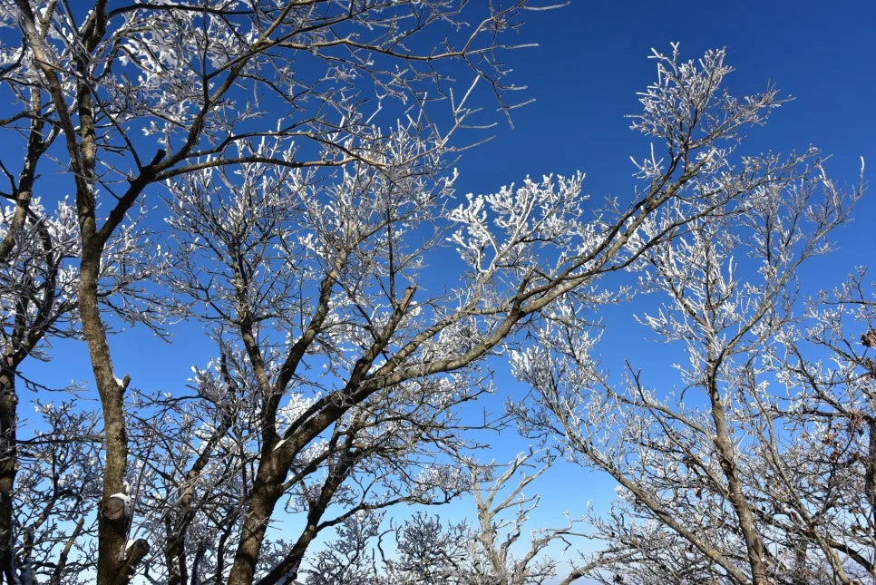 11%EC%9B%9426%EC%9D%BC_(70).JPG?type=w966