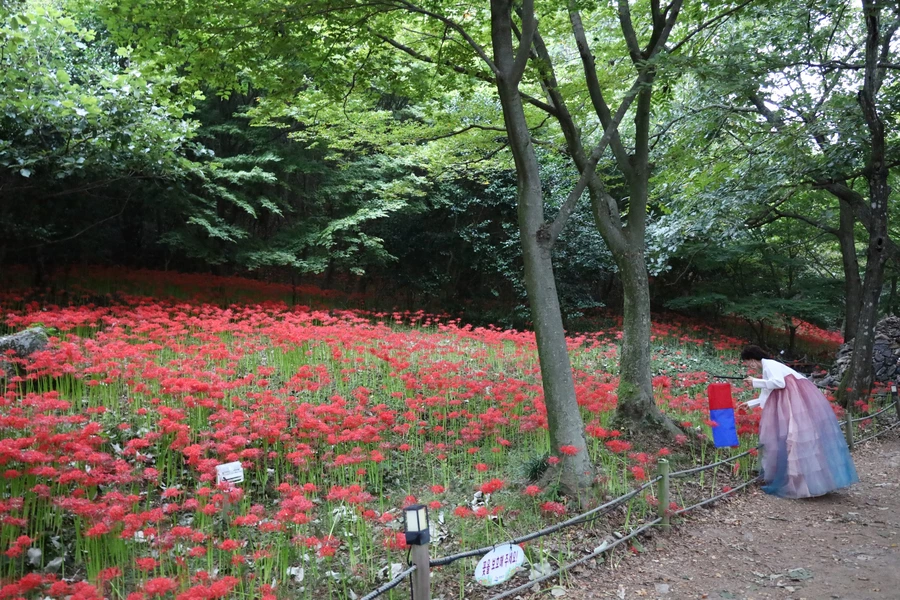 SE-219aa063-2dad-47e2-a950-7fb8e3f2692a.jpg?type=w1