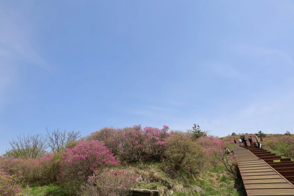 4%EC%9B%9428%EC%9D%BC_(48).JPG?type=w1