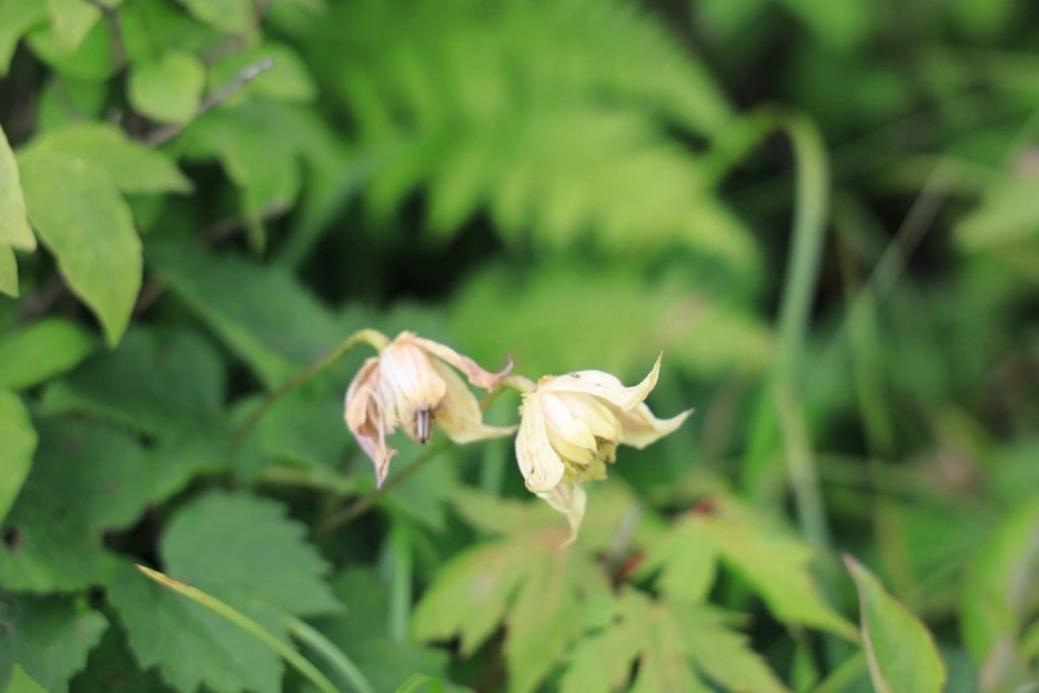 6%EC%9B%9414%EC%9D%BC_(221).JPG?type=w1