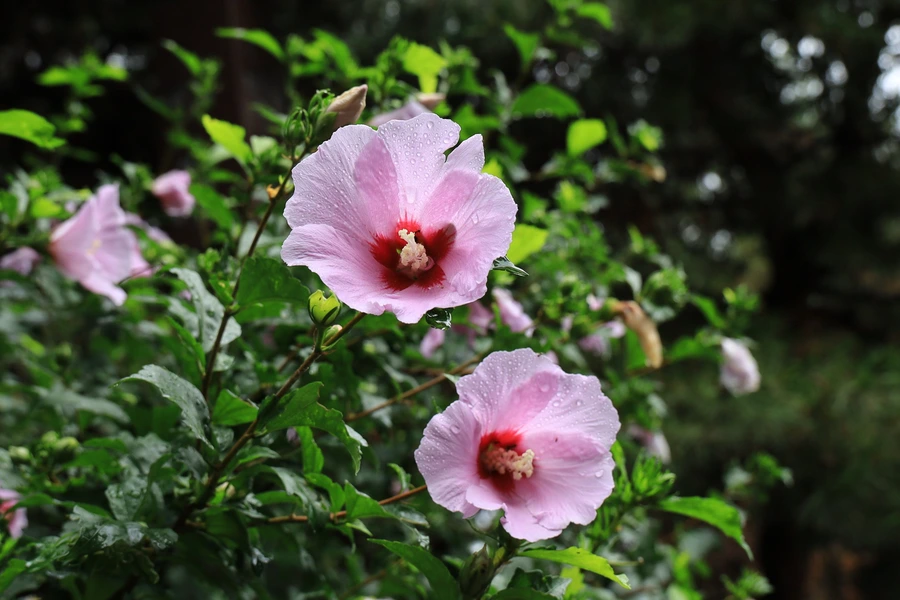 SE-99613546-967c-4ff6-a2de-72d48908319b.jpg?type=w1