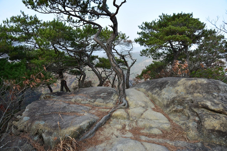 SE-92529329-cf37-4e6d-ba19-a3acc02914d6.jpg?type=w1