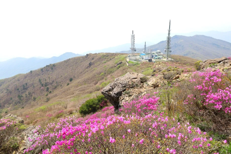 4%EC%9B%9428%EC%9D%BC_(84).JPG?type=w1