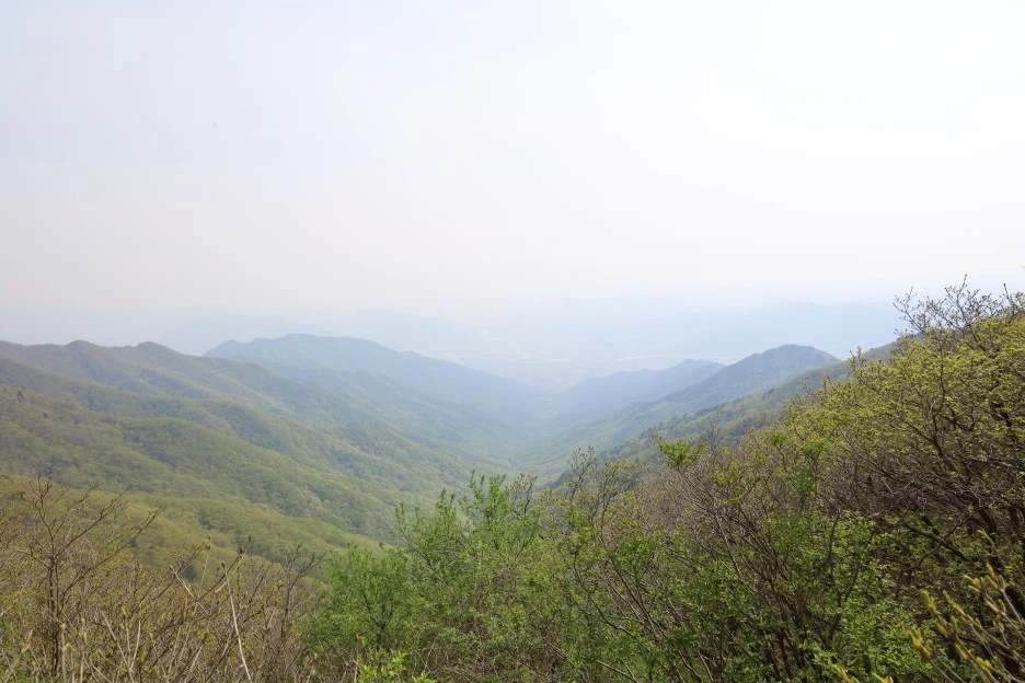 4%EC%9B%9428%EC%9D%BC_(174).JPG?type=w1