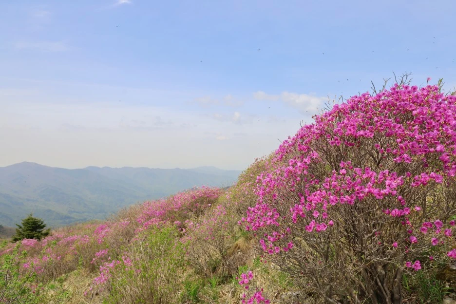 4%EC%9B%9428%EC%9D%BC_(139).JPG?type=w1