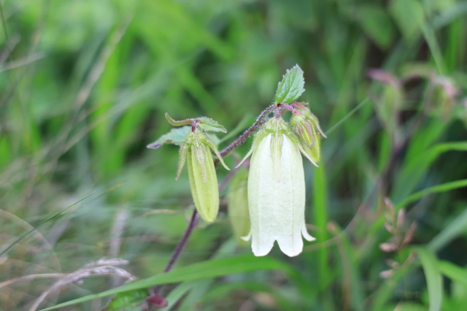 6%EC%9B%9428%EC%9D%BC_(345).JPG?type=w1