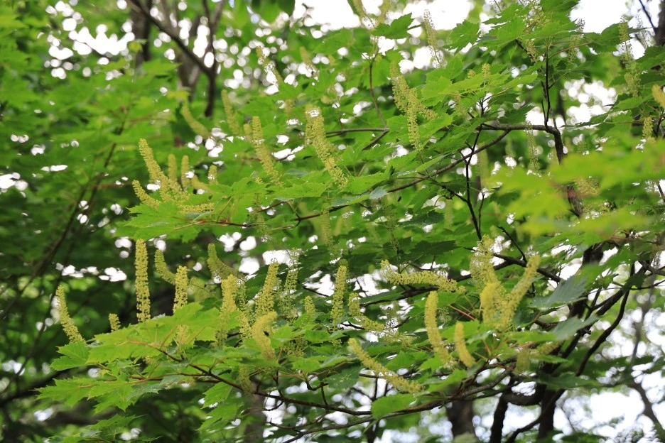 6%EC%9B%9414%EC%9D%BC_(299).JPG?type=w1