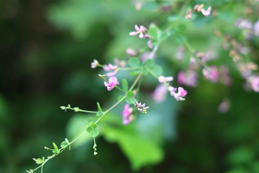 SE-07f99b55-c4bc-42c3-96f9-4d2f303afce3.jpg?type=w1