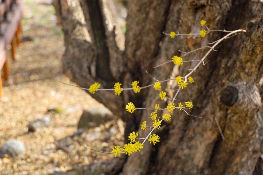 SE-dc26286b-10d5-4da6-acc8-7f2f683e1206.jpg?type=w1