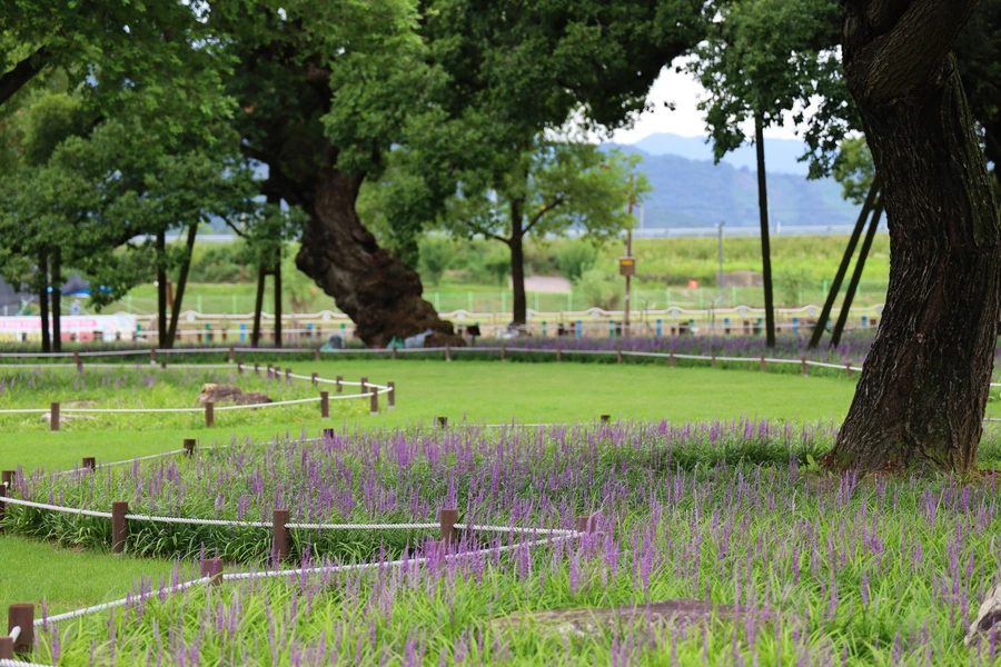 SE-7ee41b2c-f2e6-4eda-b682-c99369154a58.jpg?type=w1